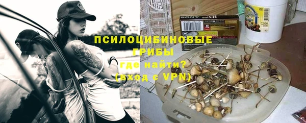 apvp Беломорск