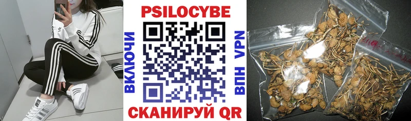 Псилоцибиновые грибы прущие грибы  Коммунар 